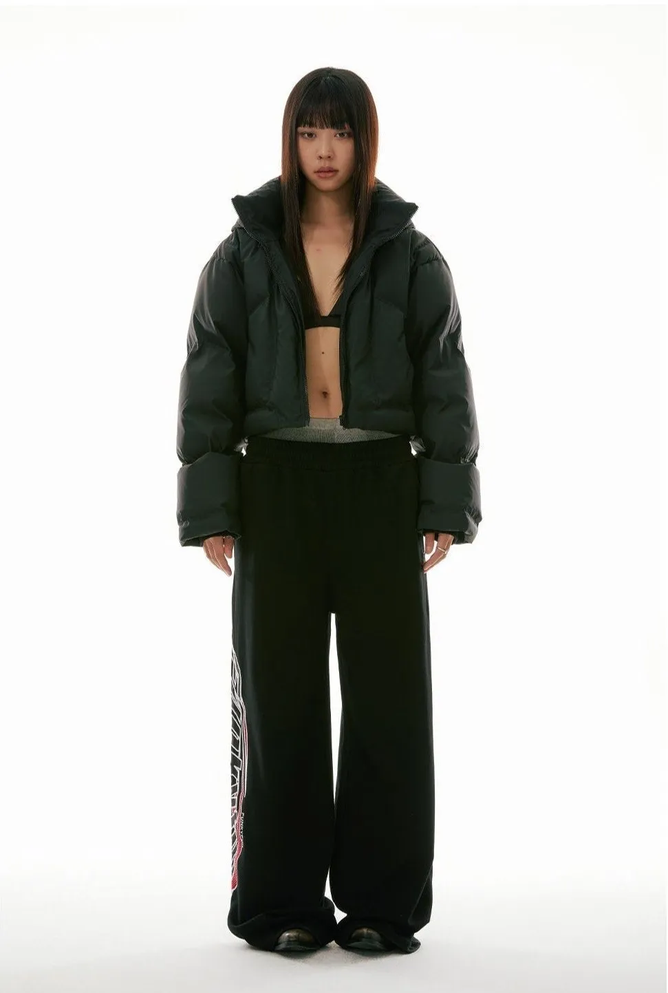 High Collar Hooded Cropped Puffer Jacket