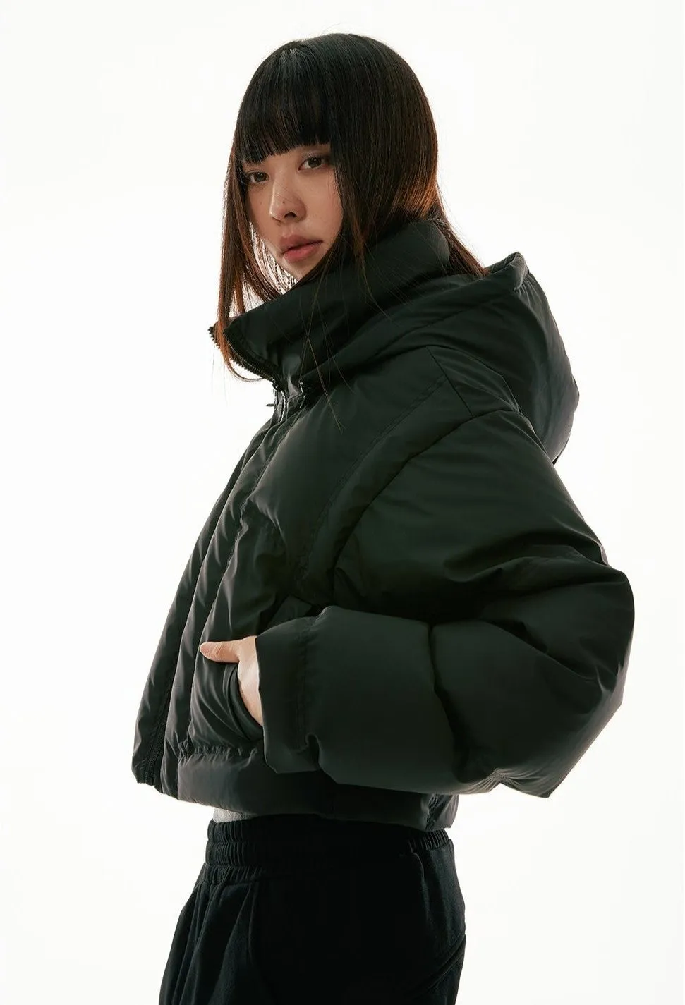 High Collar Hooded Cropped Puffer Jacket