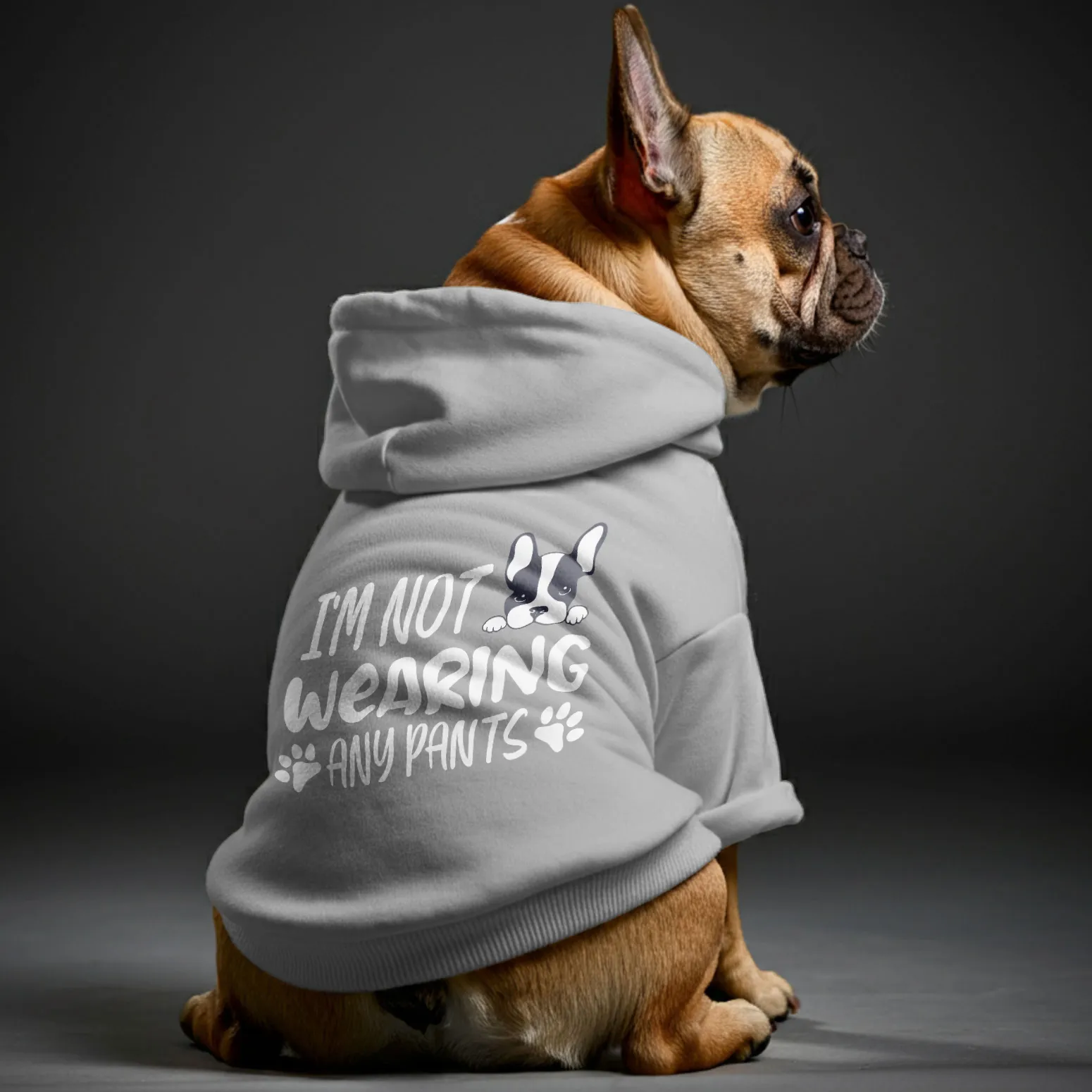 Im not wearing any pants - Personalized French Bulldog Hoodies with Funny Quotes – Stylish, Cozy, and Premium 100% Cotton