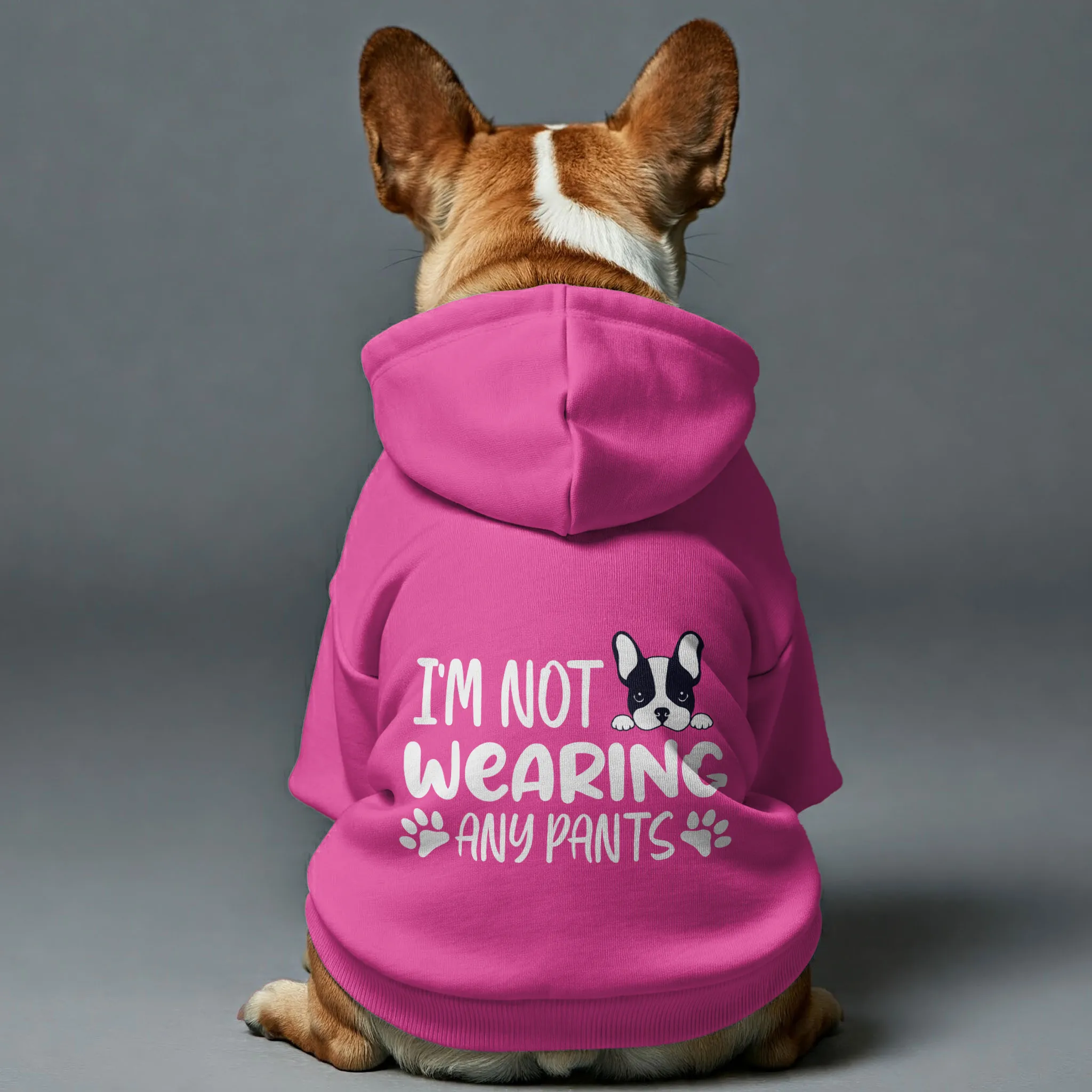 Im not wearing any pants - Personalized French Bulldog Hoodies with Funny Quotes – Stylish, Cozy, and Premium 100% Cotton