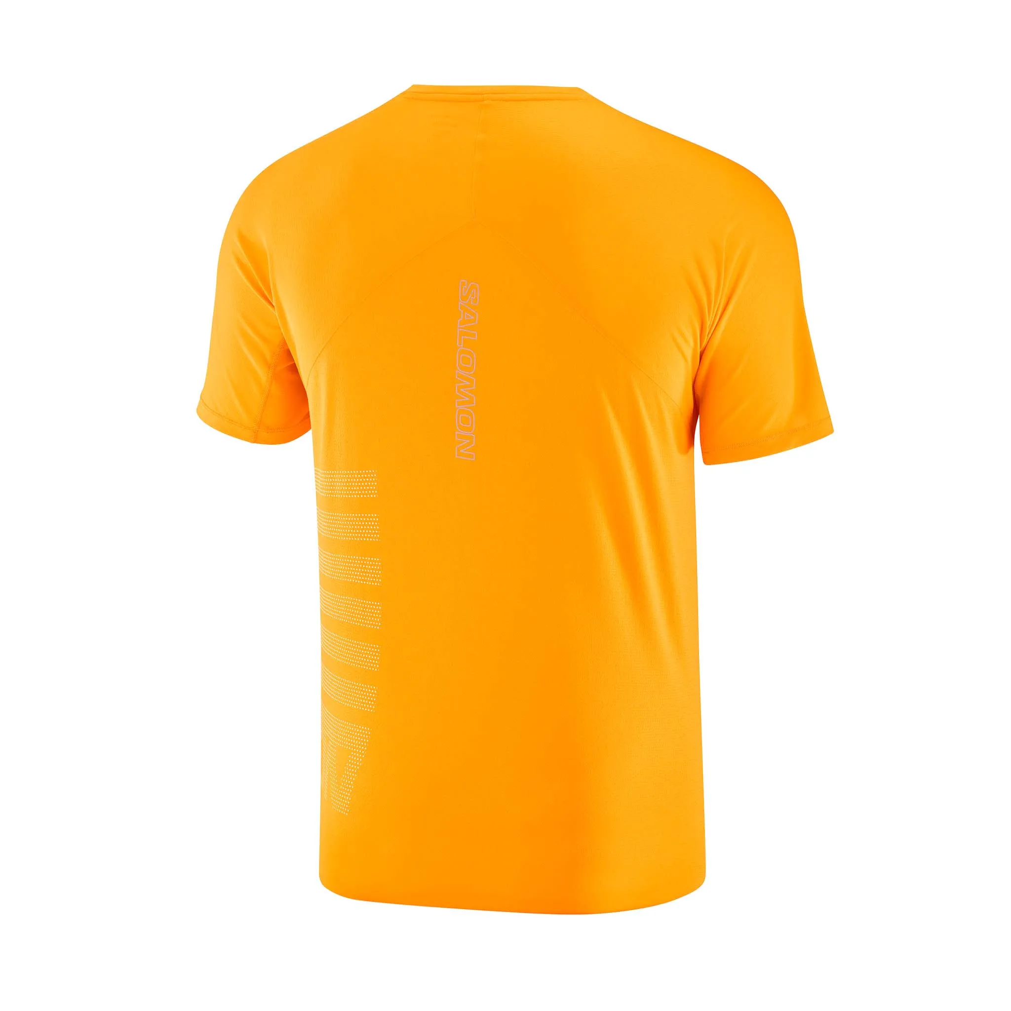 Salomon | Men's Sense Aero GFX Short Sleeve T-Shirt - Zinnia